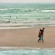 Photos Tal by the Beach