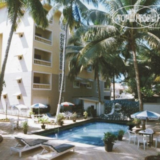 Фото Sodder's Gloria Anne\Classic