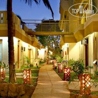 Photos Estrela Do Mar