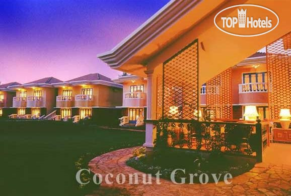 Photos Coconut Grove
