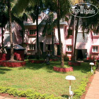 Photos Dona Terezinha