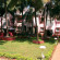 Фото Dona Terezinha