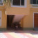 Photos Norohna Guest House