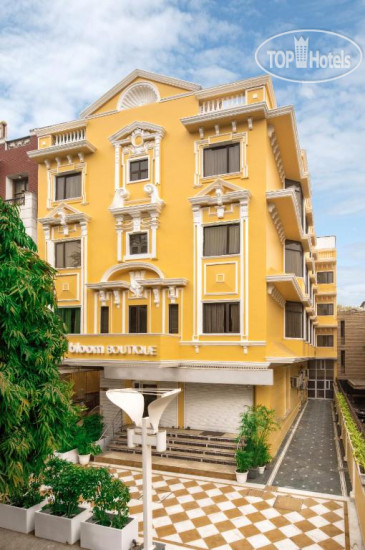 Photos Bloom Boutique - Gk1