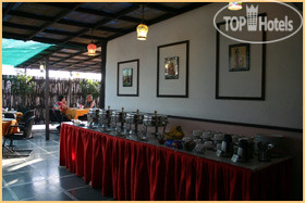 Photos Grand Peepal