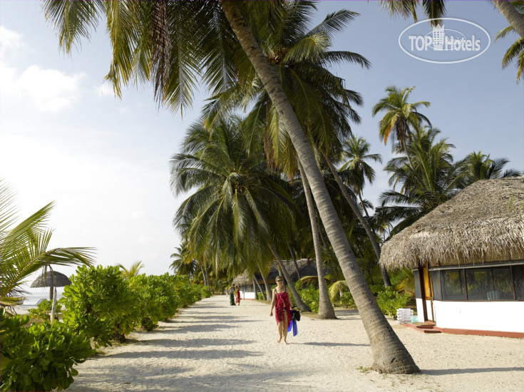 New photos from tourists Bangaram Island Resort 4*