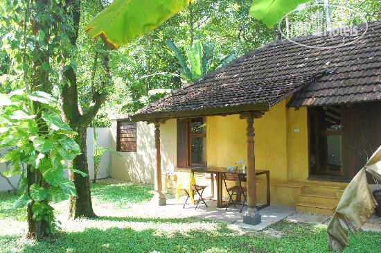 New photos from tourists Marari Villas 4*