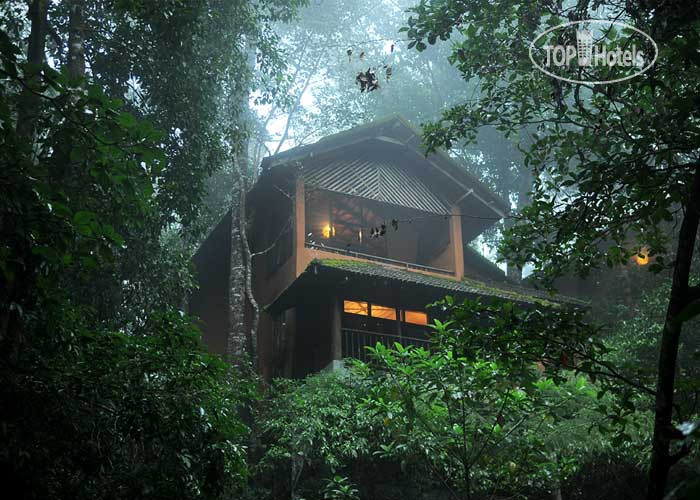 Hotelier's photos Vythiri Resort 3*