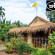 Photos Banyan Tree Yoga
