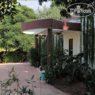 Фото The Pugmark