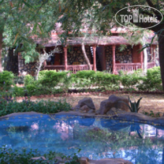 Фото Tiger Moon Resort