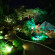 Photos The Windflower Resort & Spa