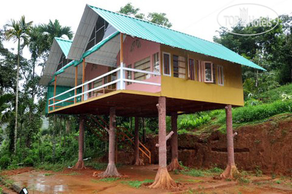 Фото Angel Home Stay