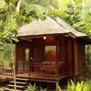 Photos Barefoot at Havelock