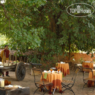 Фото Mahua Kothi Safari Lodge