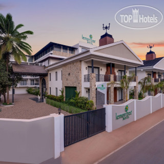 Photos Lemon Tree Arpora