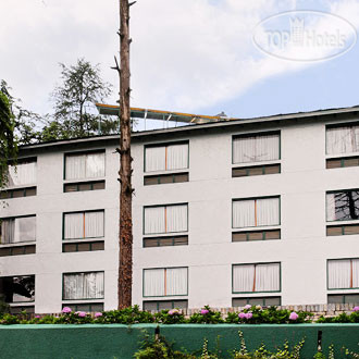 Hotelier's photos Honeymoon Inn Hotel 4*