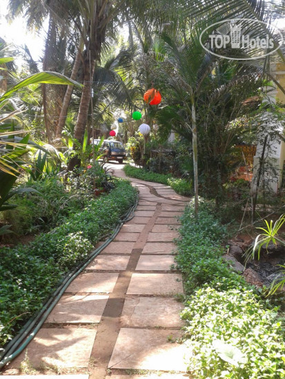 New photos from tourists Pinto Guest House
