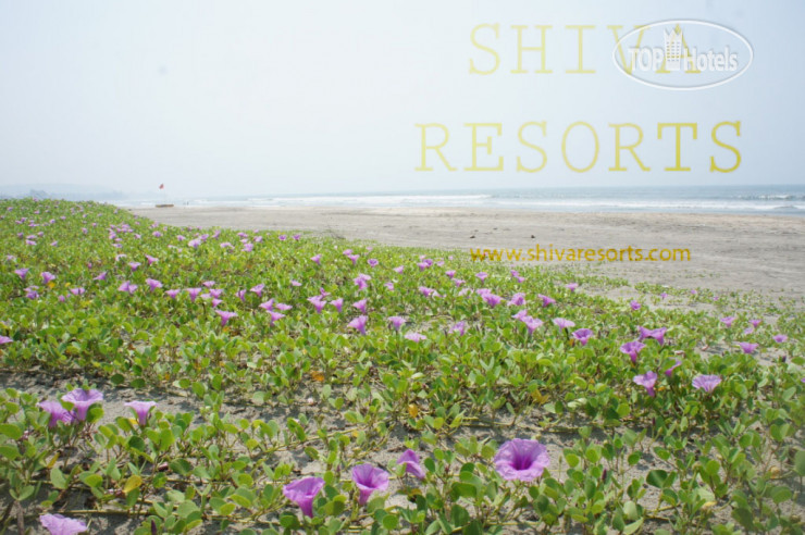 New photos from tourists Fantasy Resort Goa 2*