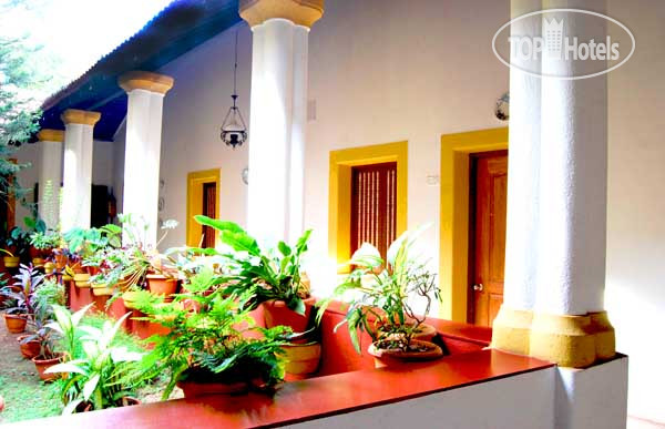 Hotelier's photos Granpa's Inn Hotel Bougainvillea 1*