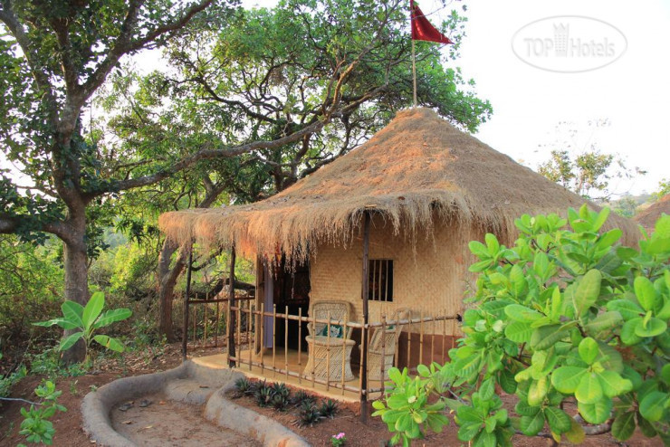 New photos from tourists Banyan Tree Yoga