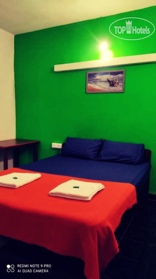 New photos from tourists Shanti Guest House