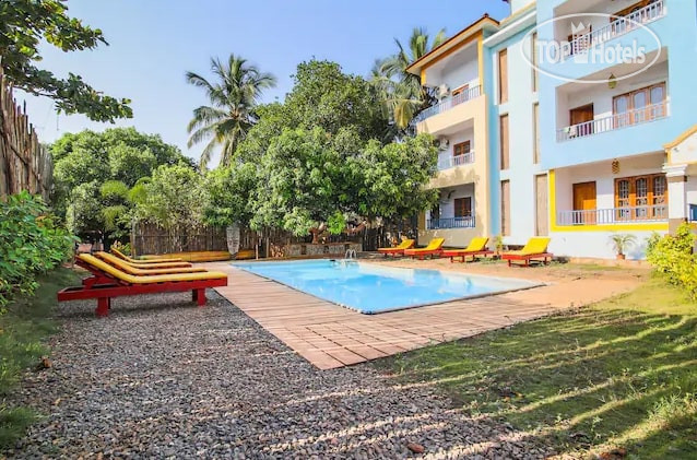 New photos from tourists 7 Delca Bello Arambol
