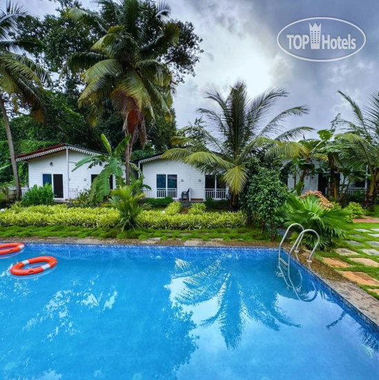 New photos from tourists White Truffle Resort Goa 3*