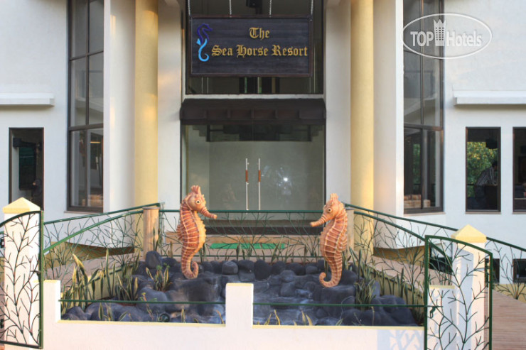 New photos from tourists The Sea Horse Resort 3*