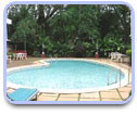 New photos from tourists Palm Resort 2*