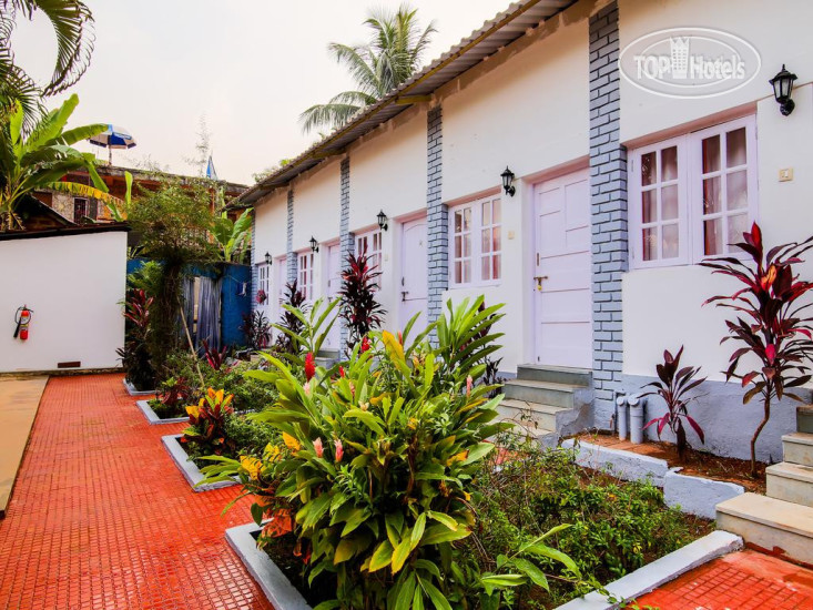 New photos from tourists Arambol Plaza Beach Resorts 2*