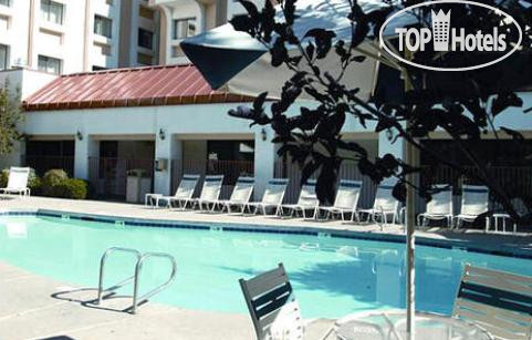 New photos from tourists 1589 Comfort Zone Hotel 3*