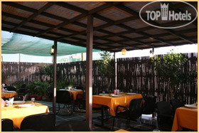 New photos from tourists Grand Peepal 3*