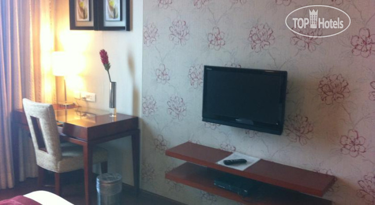 New photos from tourists Vesta International 4*