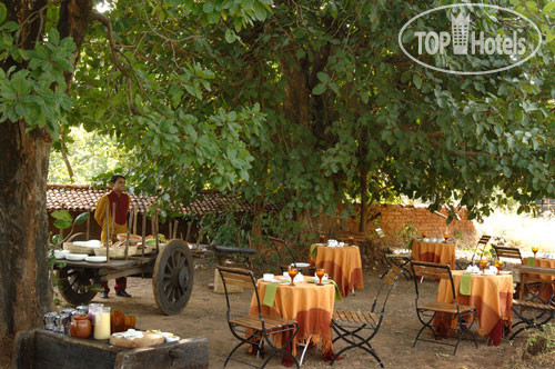 Hotel photo Mahua Kothi Safari Lodge 5*