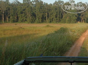 Hotelier's photos Chitvan Jungle Lodge 3*