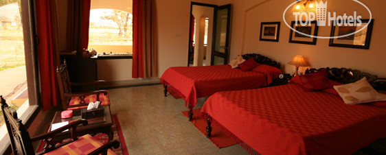 New photos from tourists Chitvan Jungle Lodge 3*