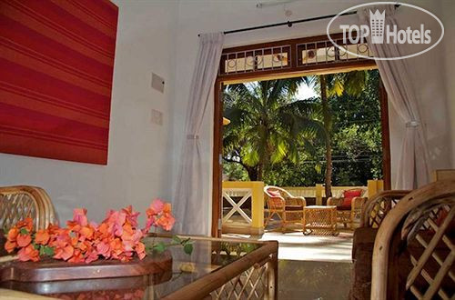 New photos from tourists The Tubki Resort 3*