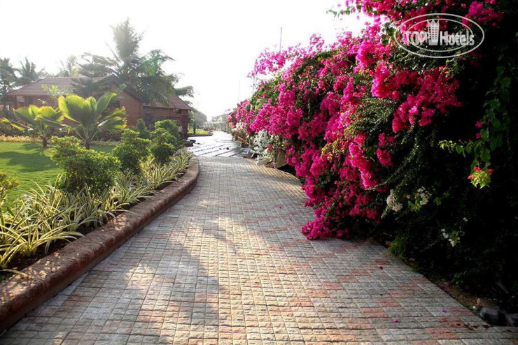 New photos from tourists The Fern Beira Mar Resort 3*