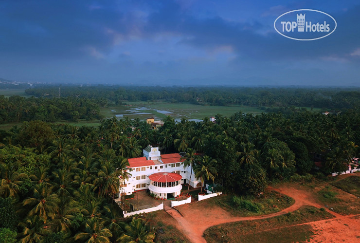 New photos from tourists TreeHouse Stamp Benaulim 3*