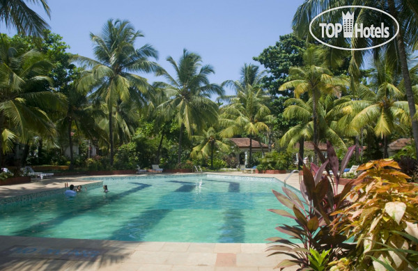 New photos from tourists Shikara Beach Resort 3*