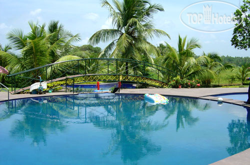 New photos from tourists Sea Queen Beach Resort and Spa 4*
