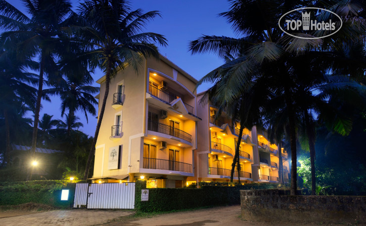 Hotel photo The Treehouse Blue 3*