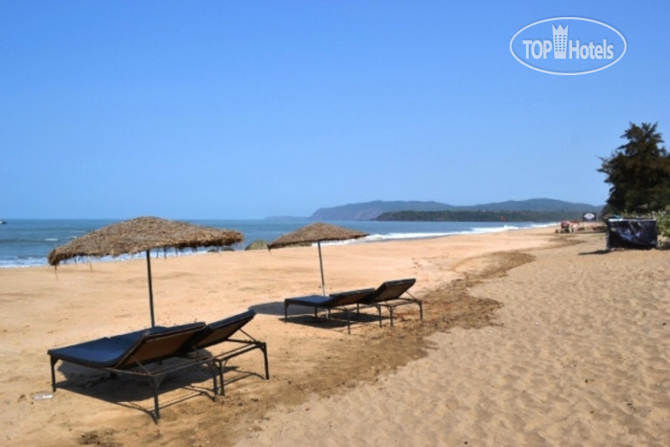 New photos from tourists Rama Resort