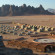 Фото Jabal Rum Camp