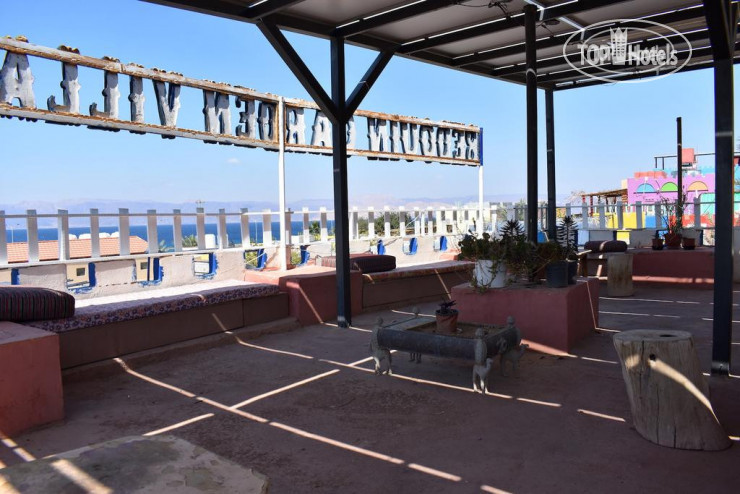 New photos from tourists Bedouin Garden Village