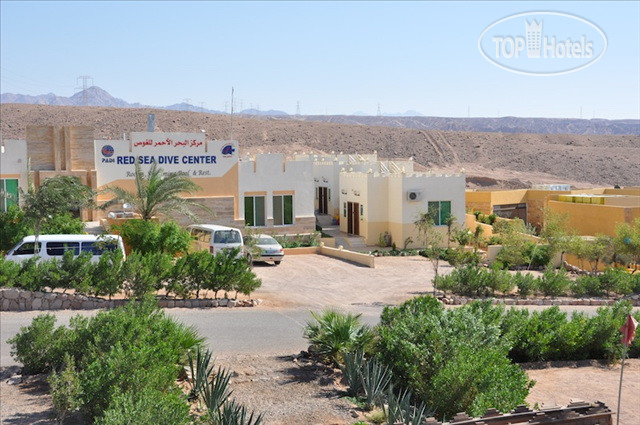 New photos from tourists Red Sea Dive Center