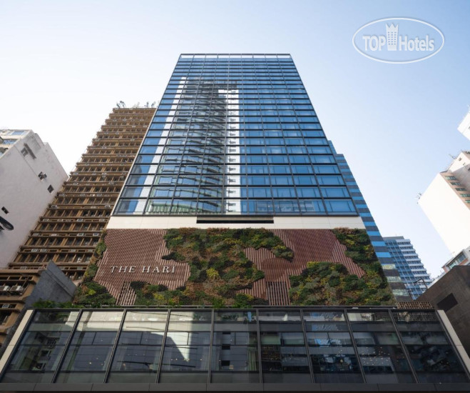 New photos from tourists The Hari Hong Kong 5*