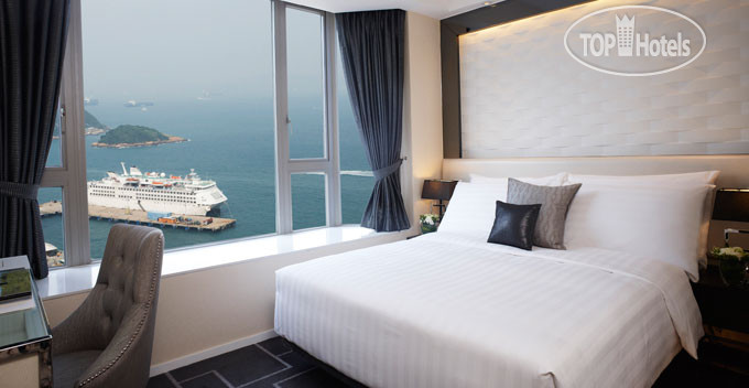 New photos from tourists Dorsett Regency 4*