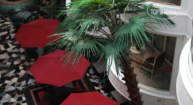 New photos from tourists New Gloria Garden Plaza 5*